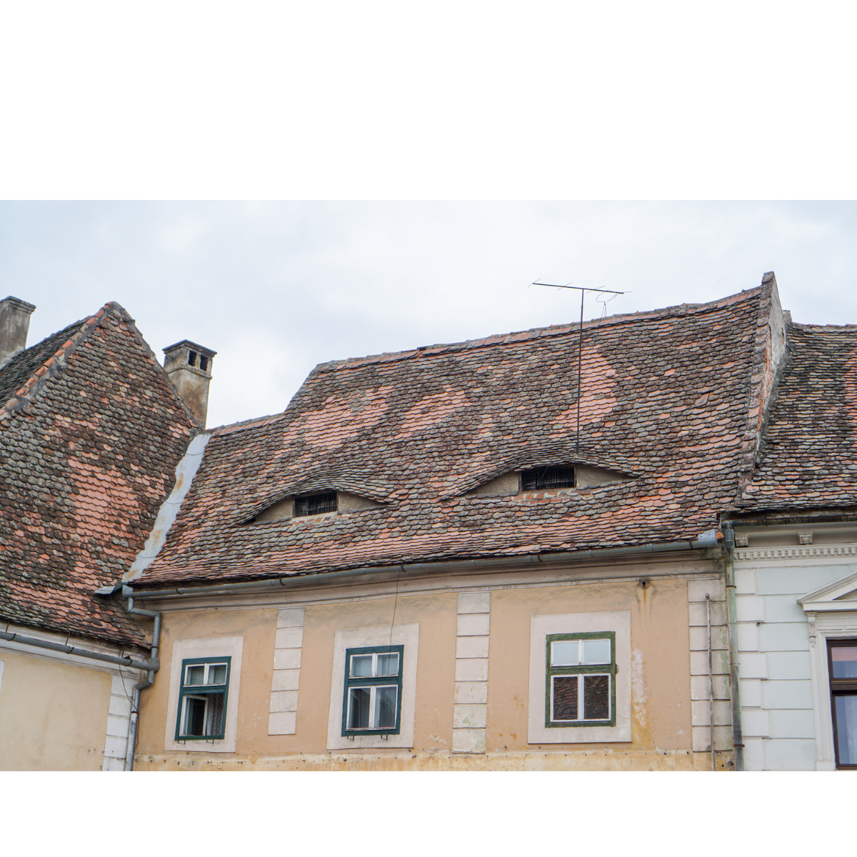 Diagnostic plomb vente logement communal : obligations des collectivités