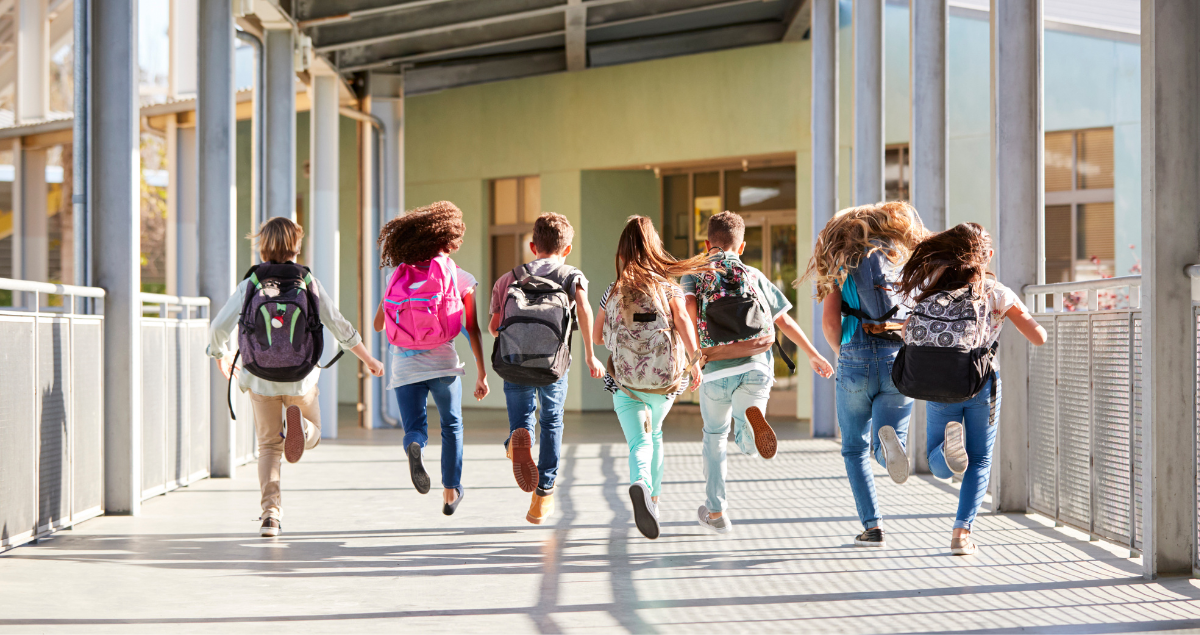 Diagnostics plomb et amiante avant travaux : protéger vos agents et sécuriser vos bâtiments publics en Seine-et-Marne