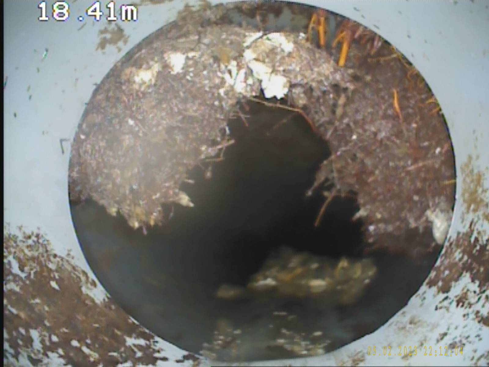 Racines dans les canalisations : détection par caméra et prévention