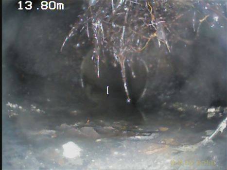 Canalisation endommagée par des racines à Fontainebleau (77) – Inspection caméra